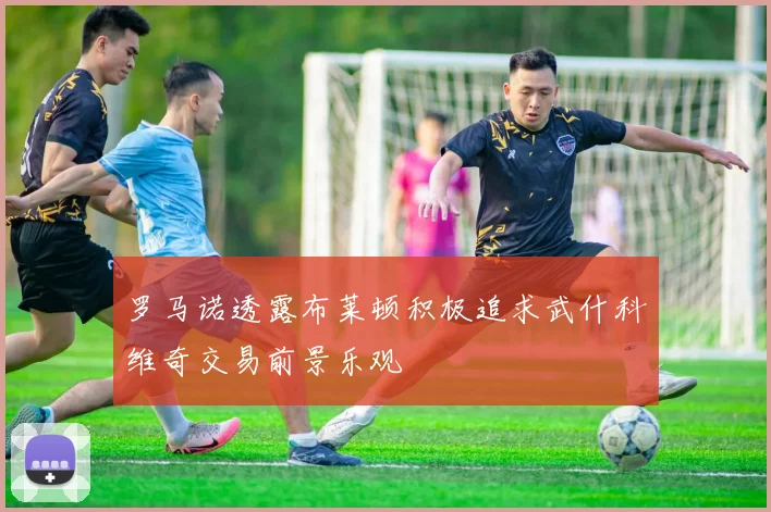 罗马诺透露布莱顿积极追求武什科维奇交易前景乐观