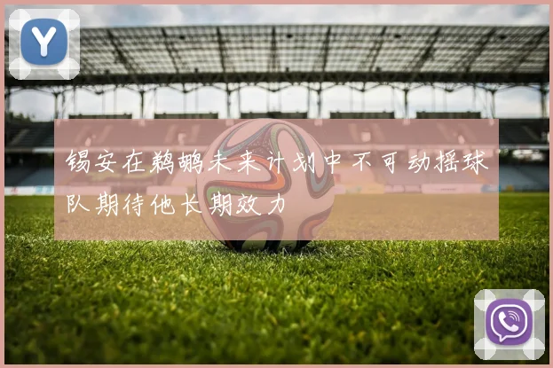 锡安在鹈鹕未来计划中不可动摇球队期待他长期效力